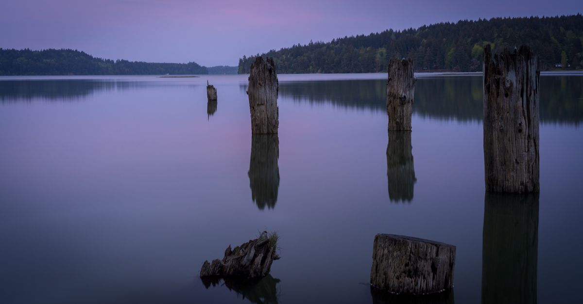 A calm, atmospheric dawn sky — a soothing image for how to relax your body before sleep with progressive relaxation